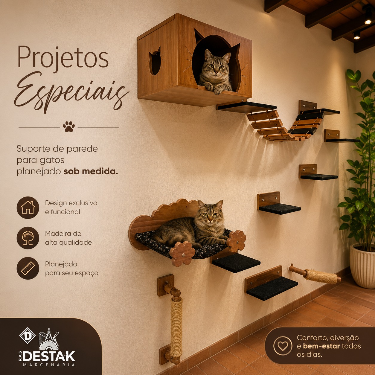 Foto de Projetos Especiais para seu PET